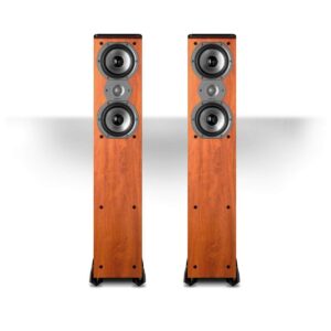 speaker