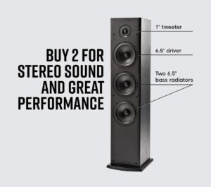 Polk Audio T50 Home Theater and Music Floor Standing Tower Speaker Review